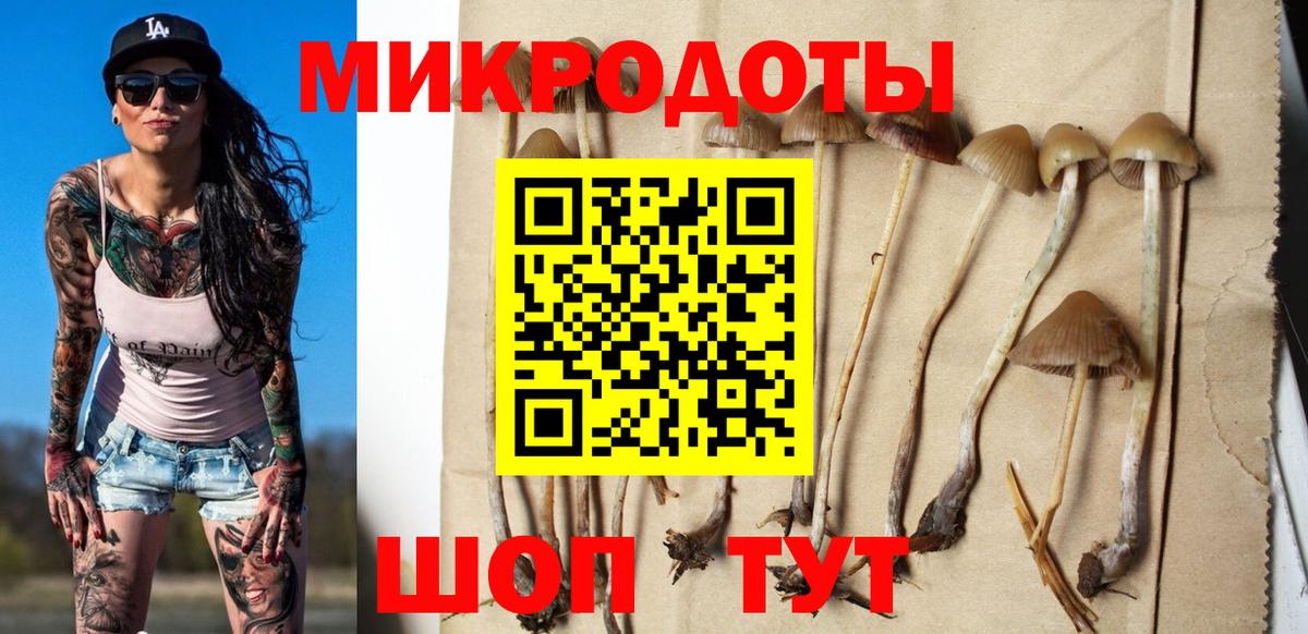Рославль  Псилоцибиновые грибы мицелий  Вход с VPN  Галлюциногенные грибы прущие грибы 